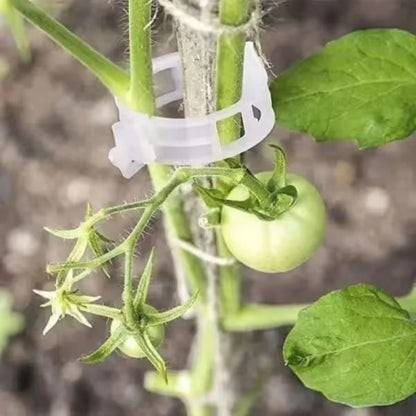 Reusable Plant Support Clips