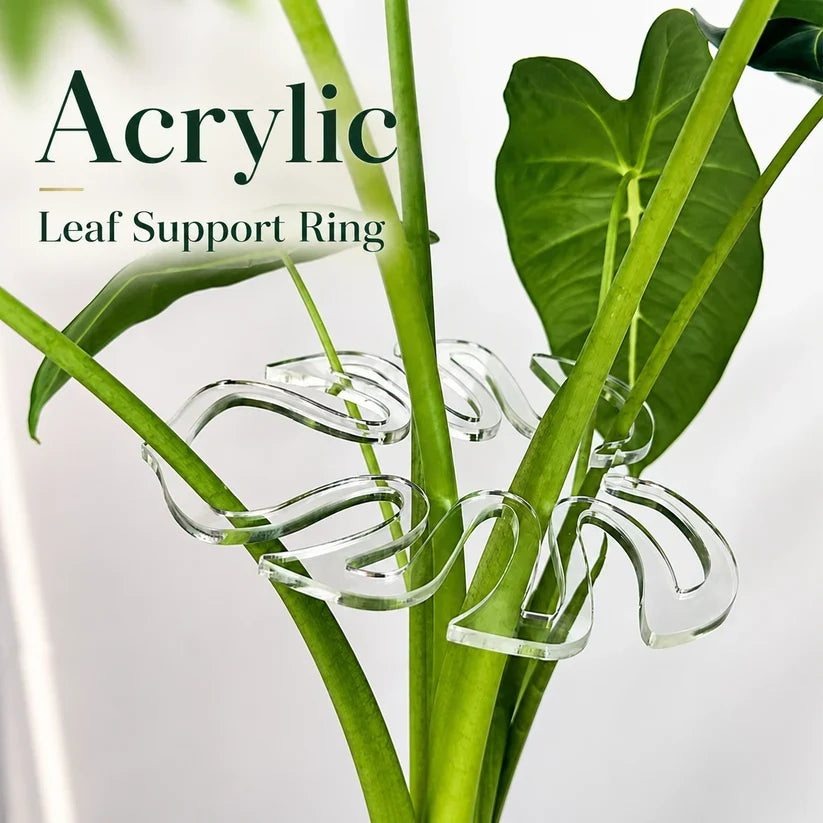 Invisible Clear Plant Support Ring Hooks