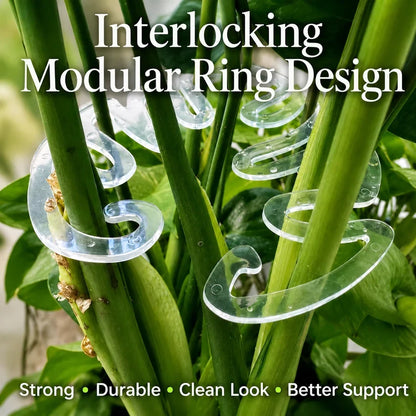 Invisible Clear Plant Support Ring Hooks