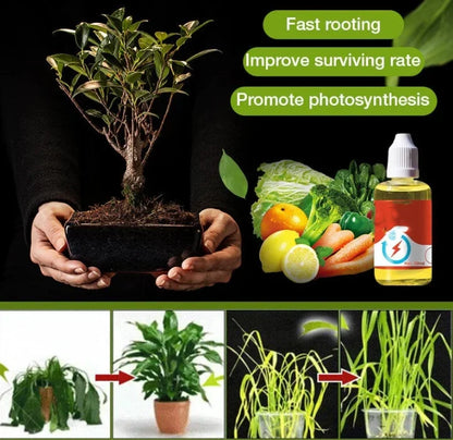 Plant Growth Enhancer Supplement