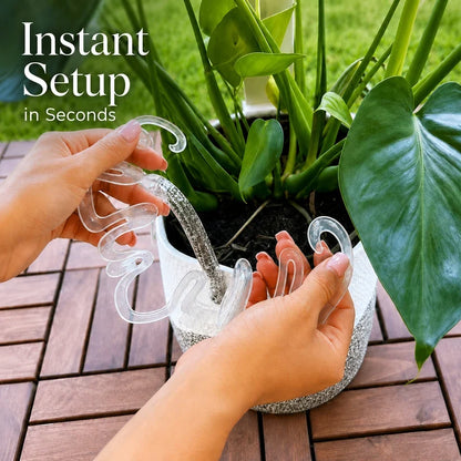 Invisible Clear Plant Support Ring Hooks
