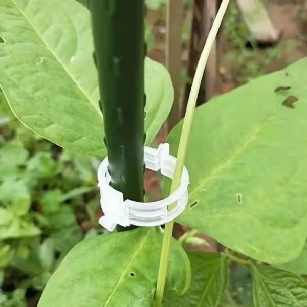 Reusable Plant Support Clips