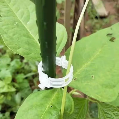 Reusable Plant Support Clips