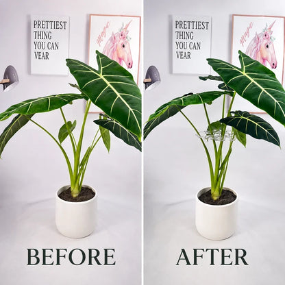 Invisible Clear Plant Support Ring Hooks
