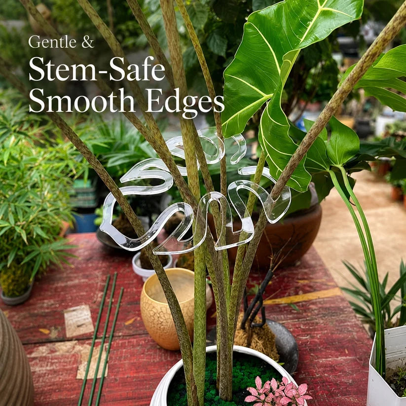 Invisible Clear Plant Support Ring Hooks