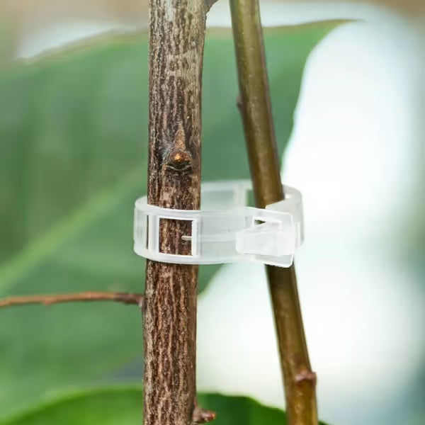 Reusable Plant Support Clips