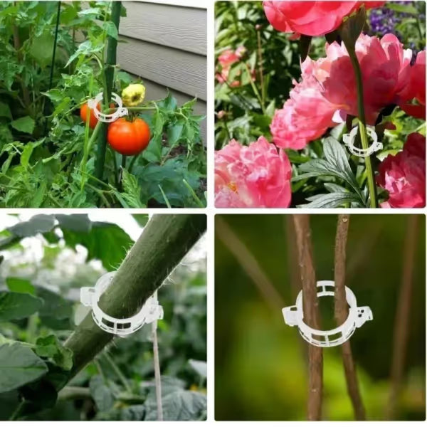 Reusable Plant Support Clips