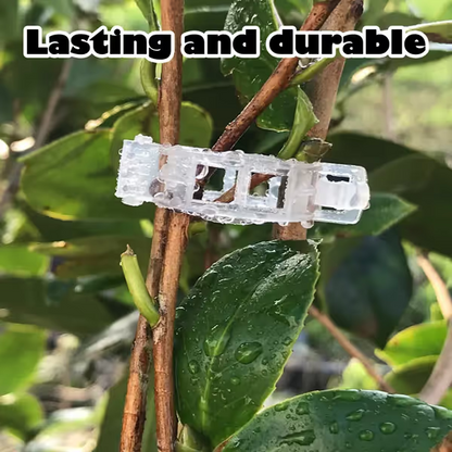Reusable Plant Support Clips