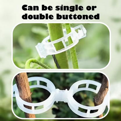 Reusable Plant Support Clips