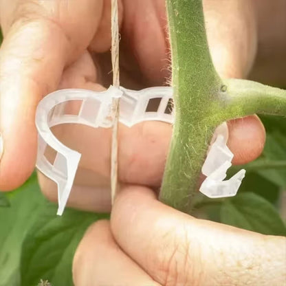 Reusable Plant Support Clips