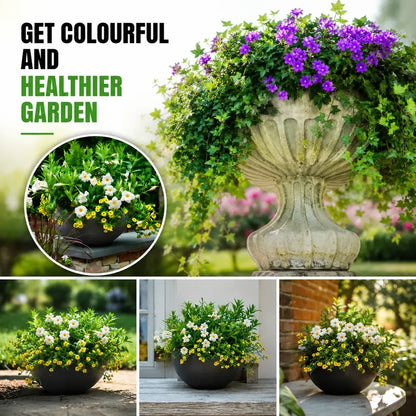 Plant Growth Booster Sticks