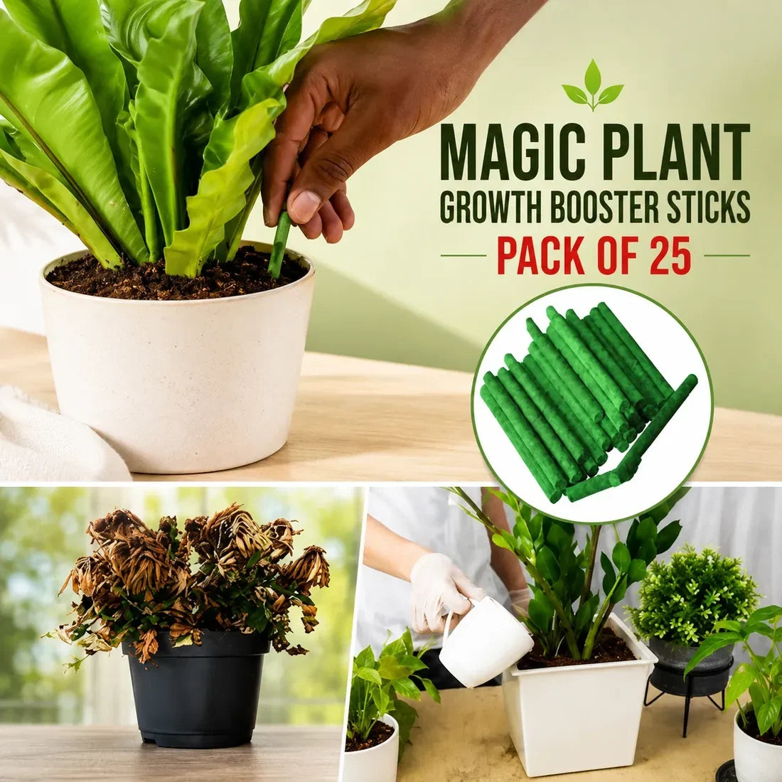 Plant Growth Booster Sticks